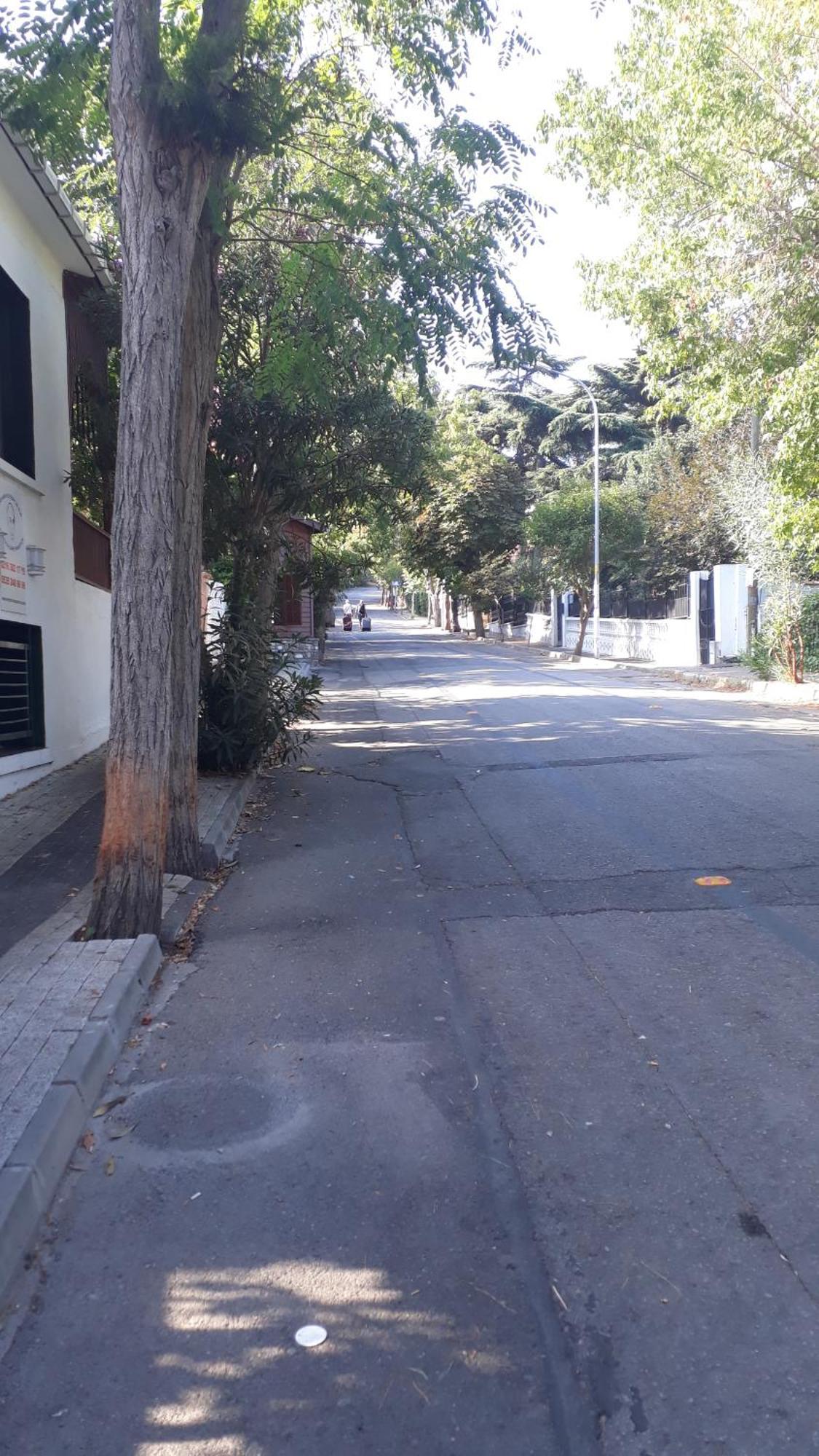 Orhan Kutbayin Evi Adalar Habitación foto
